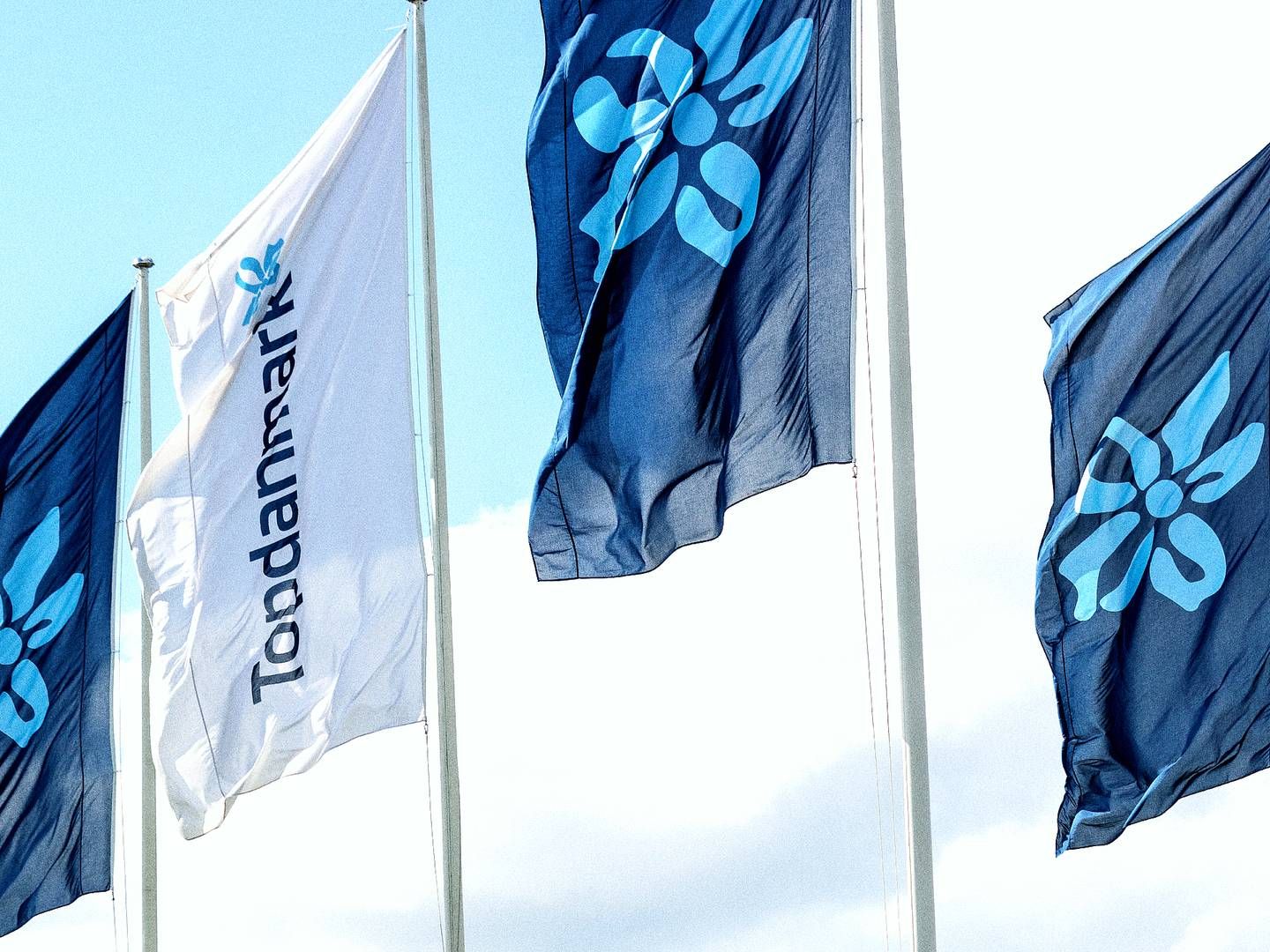 Topdanmark var med til at stifte Heap i 2020. | Foto: PR