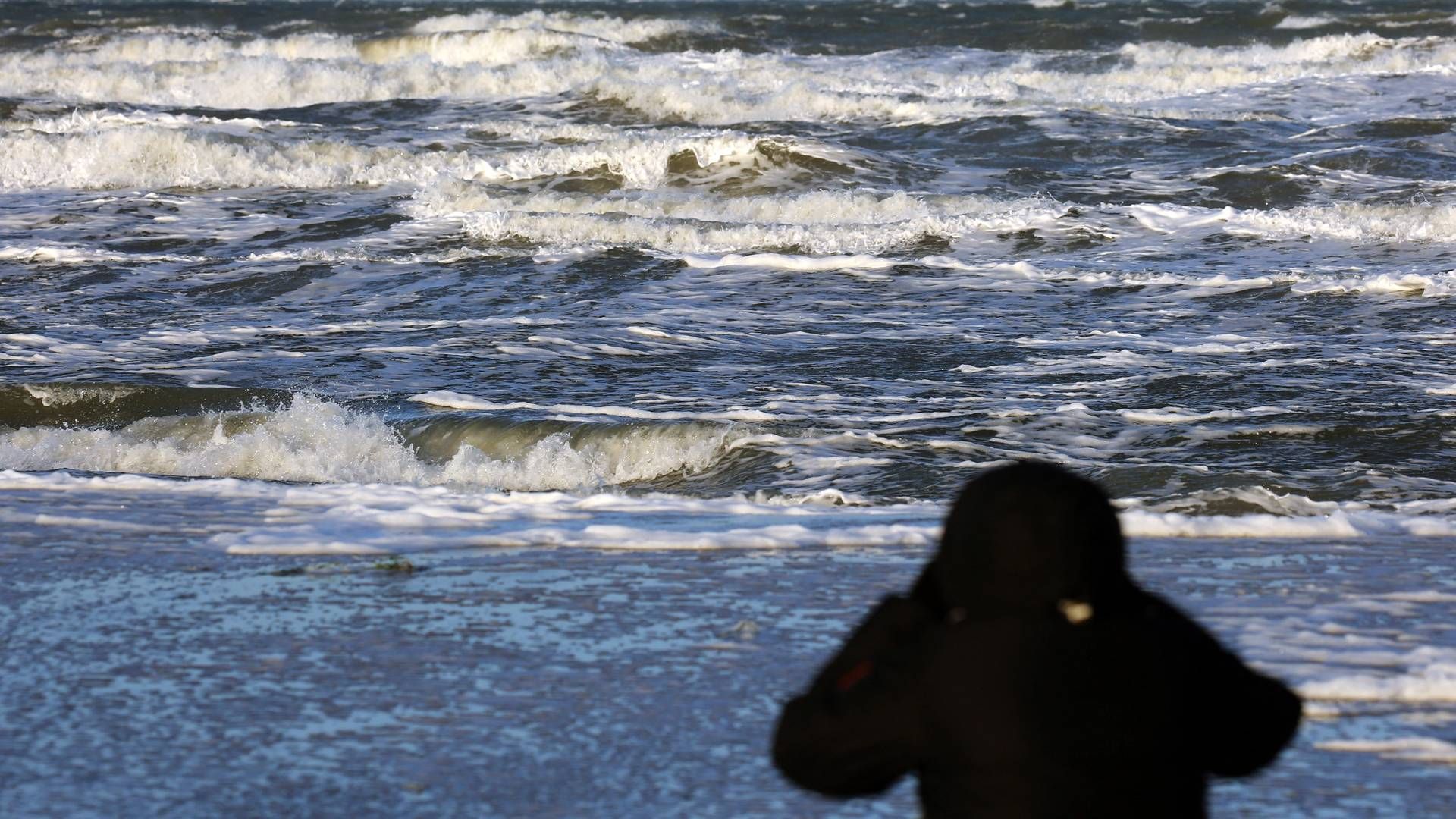 Foto: BERND WÜSTNECK/AFP Photo