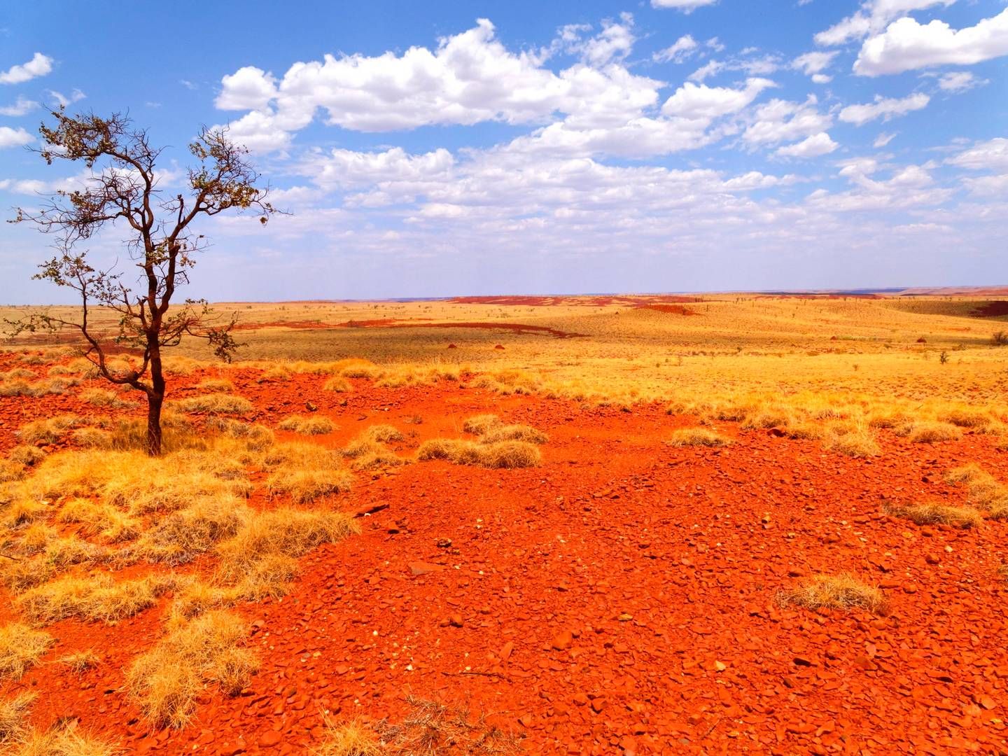 The sunny and sparsely populated Australian outback in Queensland has potential to become "a renewable powerhouse" of wind and solar farms. The photo depicts outback in Western Australia. | Photo: Paul Mayall/AP/Ritzau Scanpix