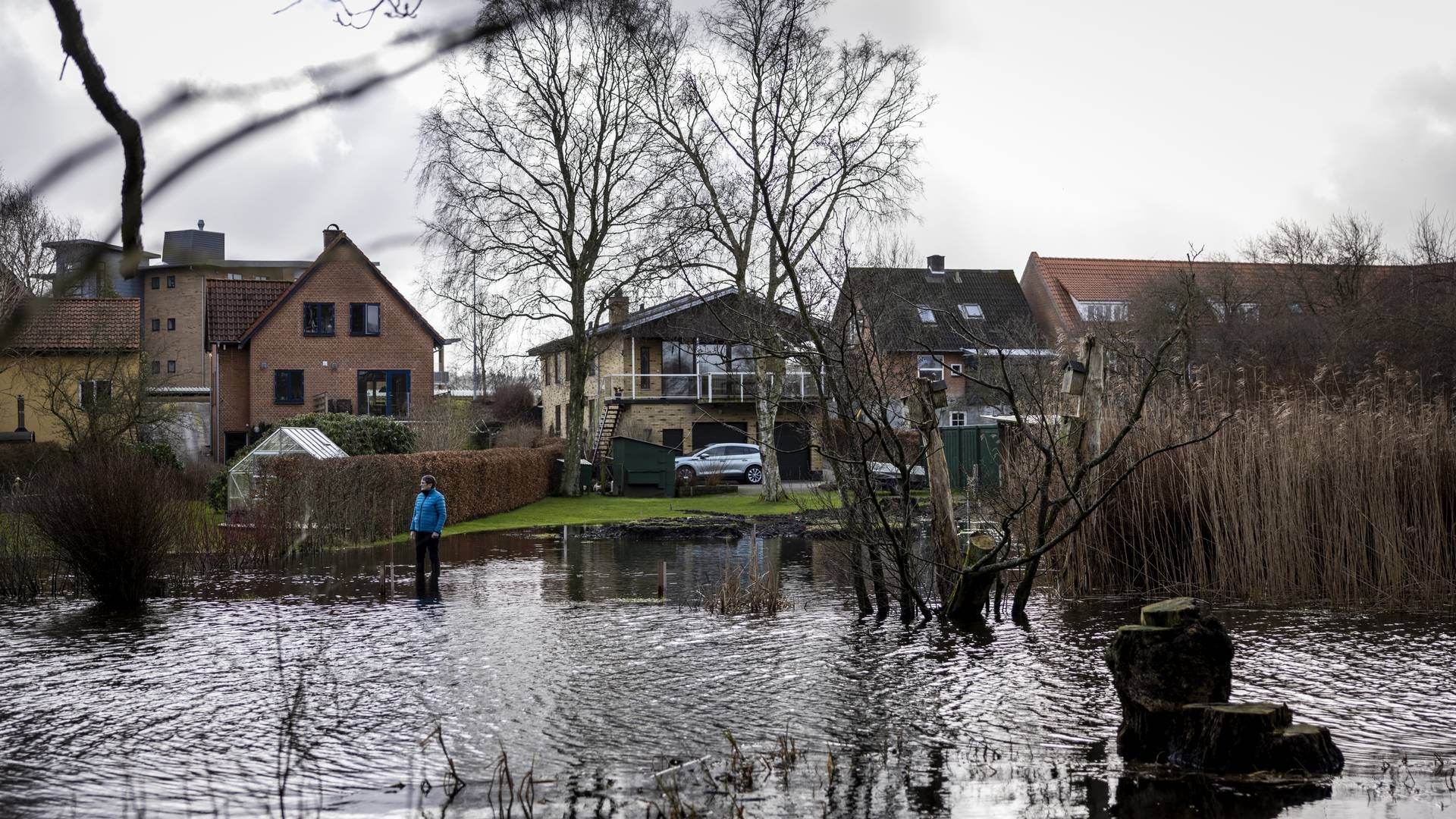 Langs Gudenåen er borgerne plaget af stigende vandstand. | Foto: Joachim Ladefoged/JPA