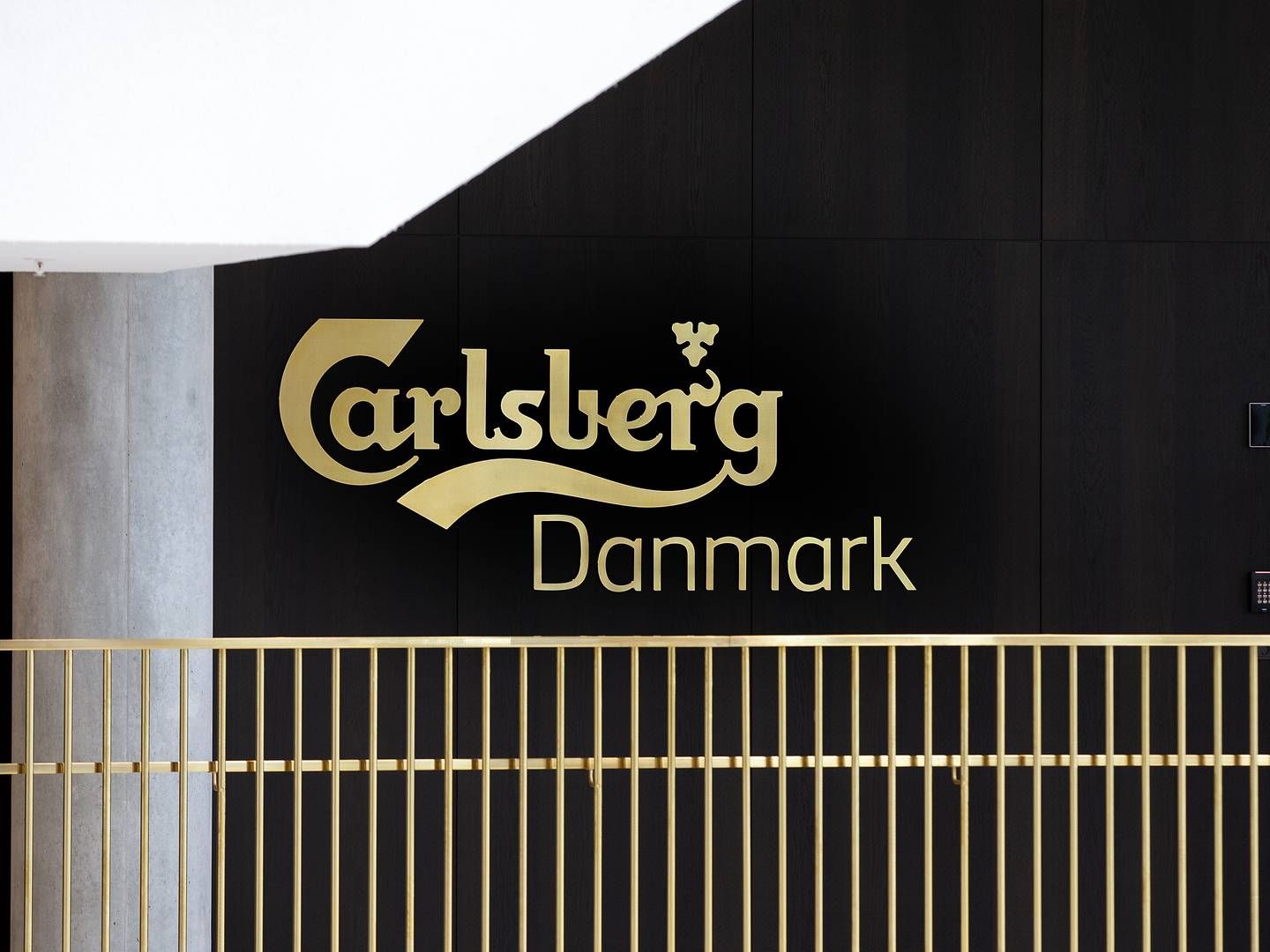 "Det har også været afgørende, at det er god en arbejdsgiver for vores russiske medarbejdere,” siger Tanja Frederiksen, der er global kommunikationsdirektør i Carlsberg, til MarketWire. | Foto: Finn Frandsen/Ritzau Scanpix.