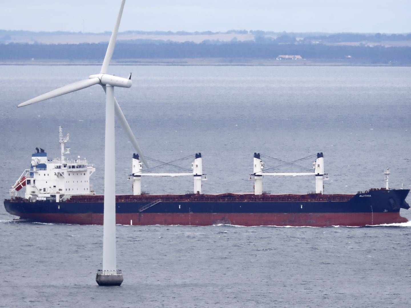 Vessel Wu Zhou 8 was sailing under Chinese flag. File photo. | Photo: Jens Dresling