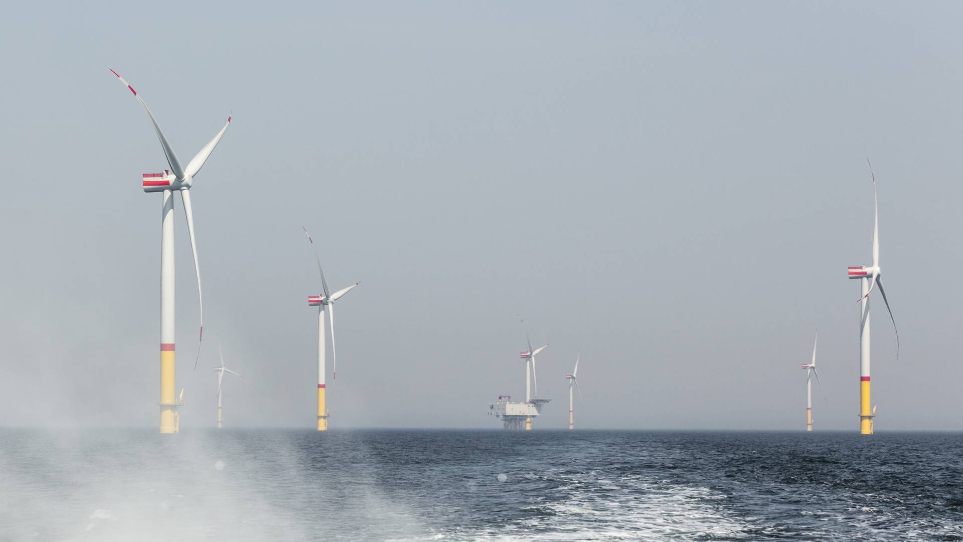 Photo: RWE Renewables/Paul-Langrock.de +49 172 3120 3