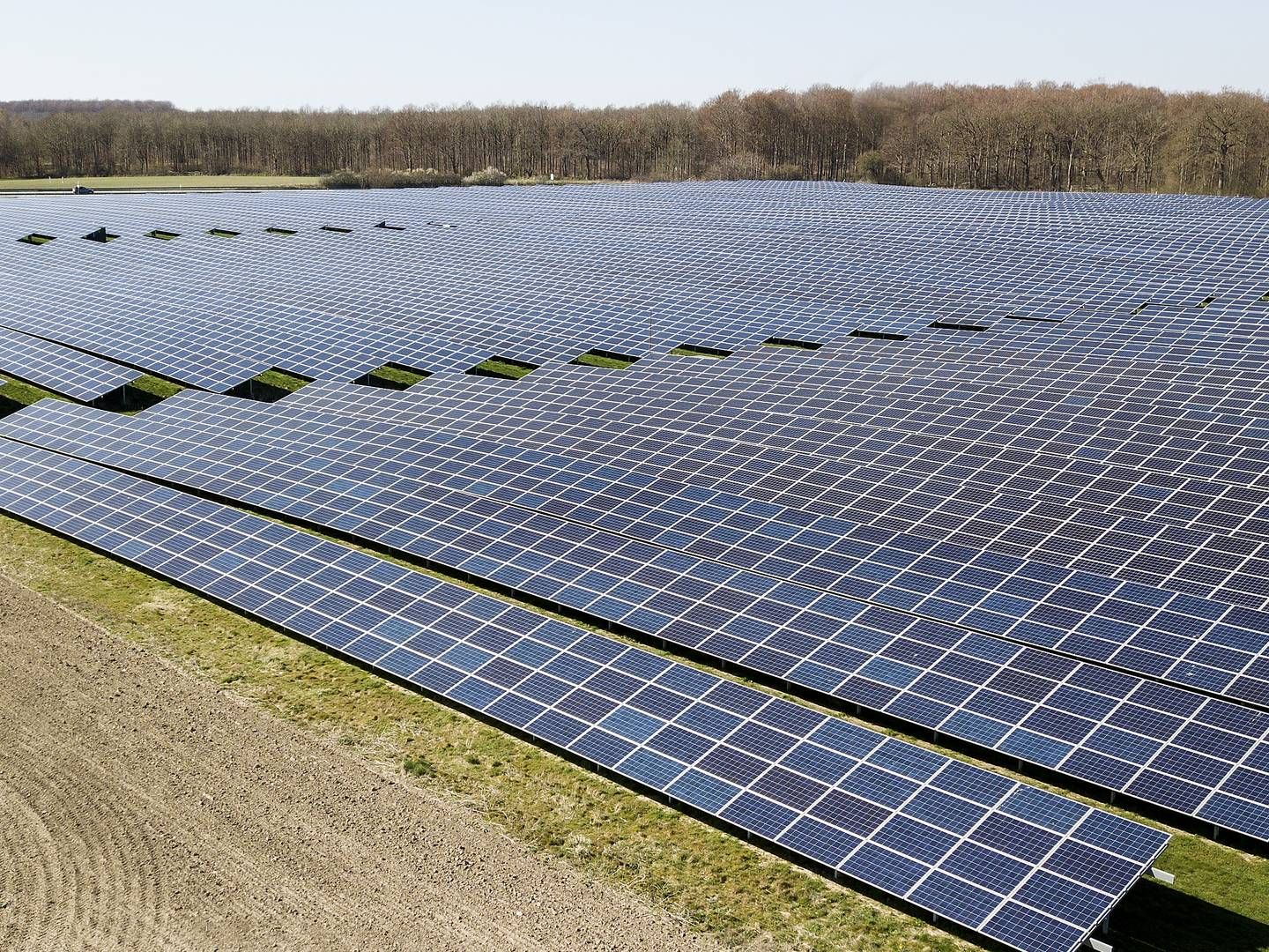 Nyt europæisk samarbejde skal få flere og bedre solcelleparker op i Europa. | Foto: Finn Frandsen
