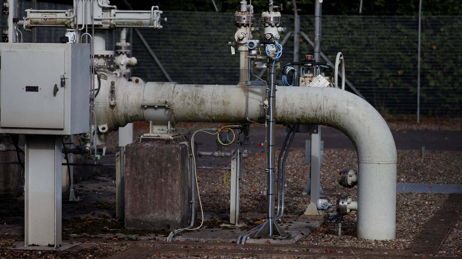Gasprisen er mere end halveret siden toppen i august. | Foto: PHIL NOBLE/REUTERS / X01988
