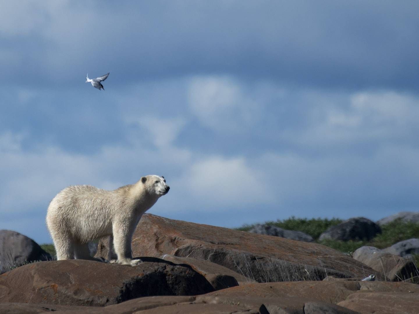 Photo: OLIVIER MORIN/AFP / AFP