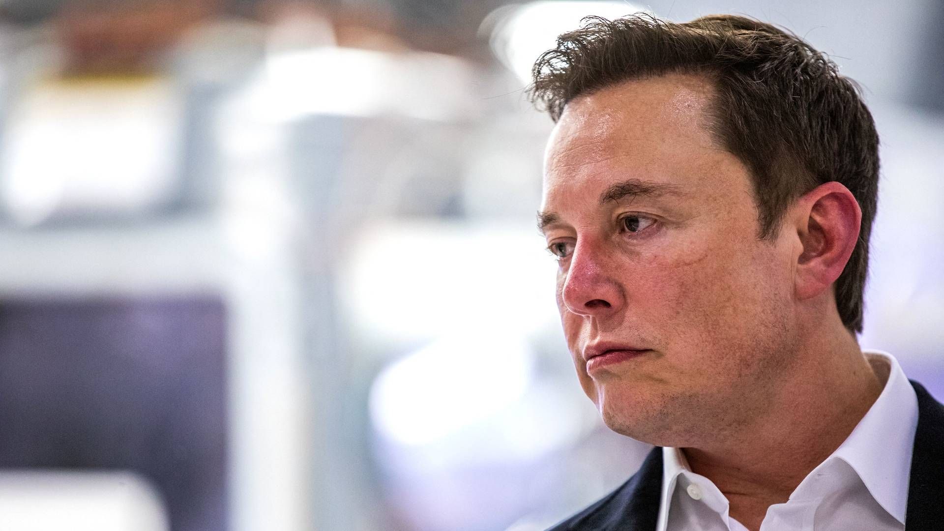 Elon Musk, stifter af bl.a. elbilproducenten Tesla | Foto: Philip Pacheco / AFP / Ritzau Scanpix