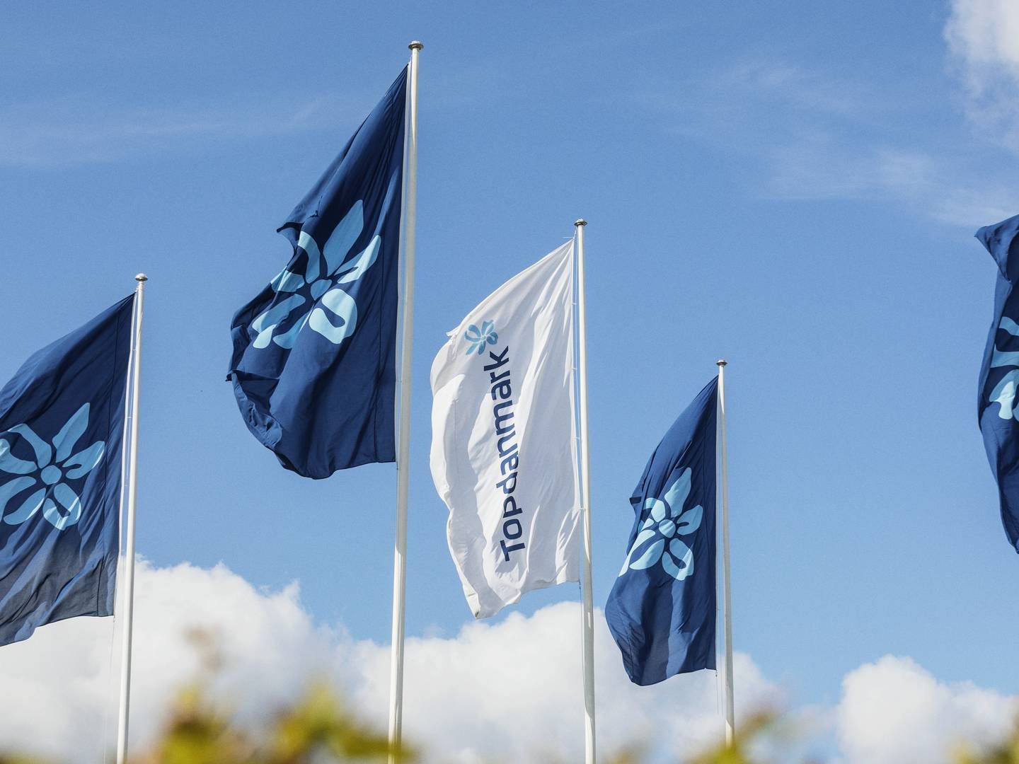 Topdanmark has opted to activate surrender charges on its guarenteed savings schemes. Nordea recently bought Topdanmarks pension business. | Photo: TOPDANMARK