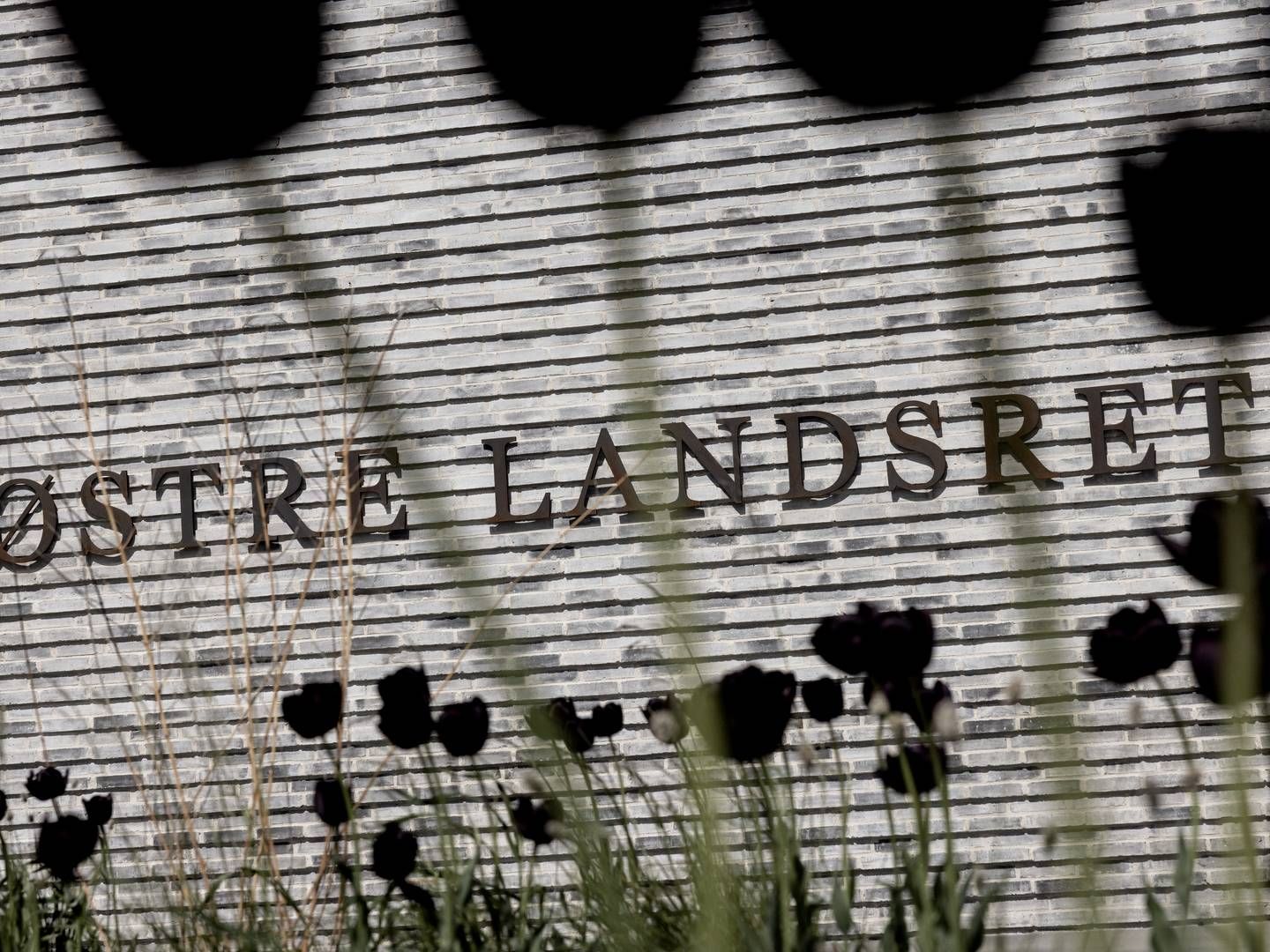 Østre Landsret har ophævet navneforbuddet i sagen om den svindelsigtede David Nikolaj Nielsen, der nu erkender at have tømt klientkonto. | Foto: Mads Nissen