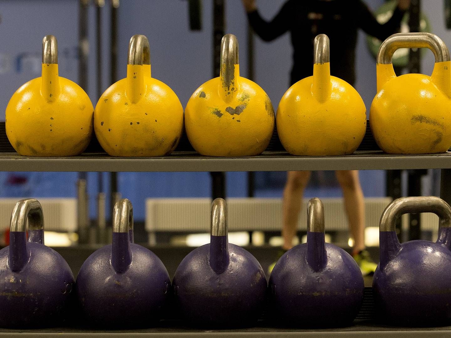 Billig-Fitness voksede sig store under coronatvangslukningen af landets fitnesscentre. Siden den endelige genåbning er salget af håndvægte, kettlebells og træningselastikker dog styrtdykket. | Foto: Finn Frandsen