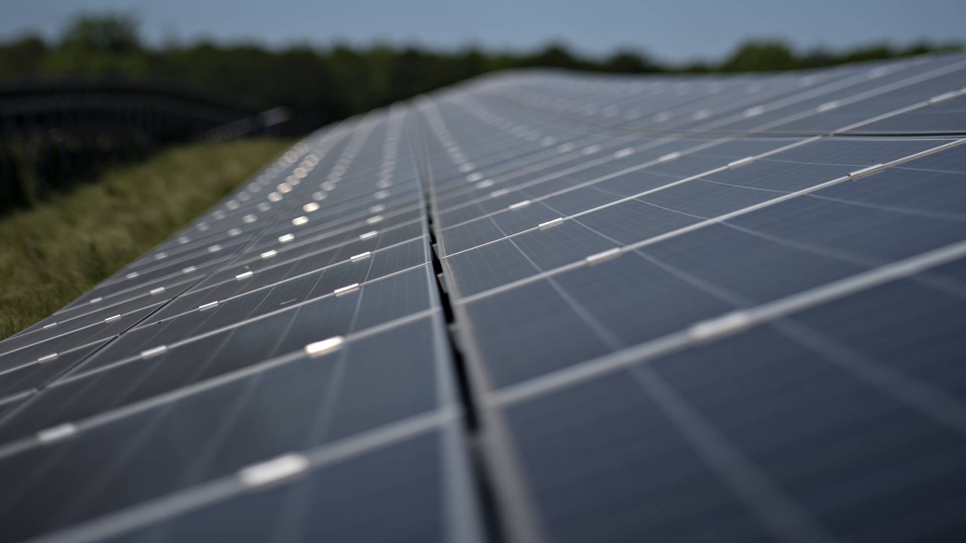 60 GWh: Solenergien leverte 60 GWh til strømnettet i 2022. Totalt estimerer NVE at produksjonen bidro med 225 GWh. | Foto: Brian Karmark/ERH