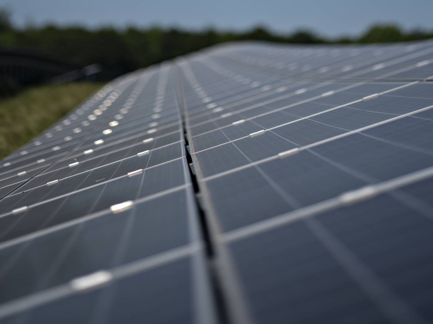 60 GWh: Solenergien leverte 60 GWh til strømnettet i 2022. Totalt estimerer NVE at produksjonen bidro med 225 GWh. | Foto: Brian Karmark/ERH