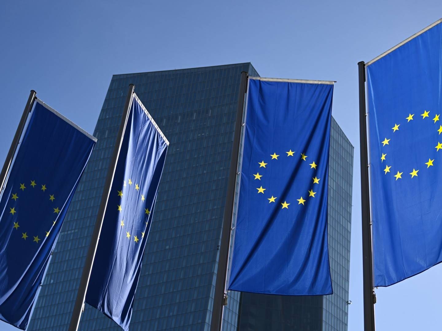 EU-Flaggen vor dem Gebäude der EZB | Foto: picture alliance/dpa | Arne Dedert