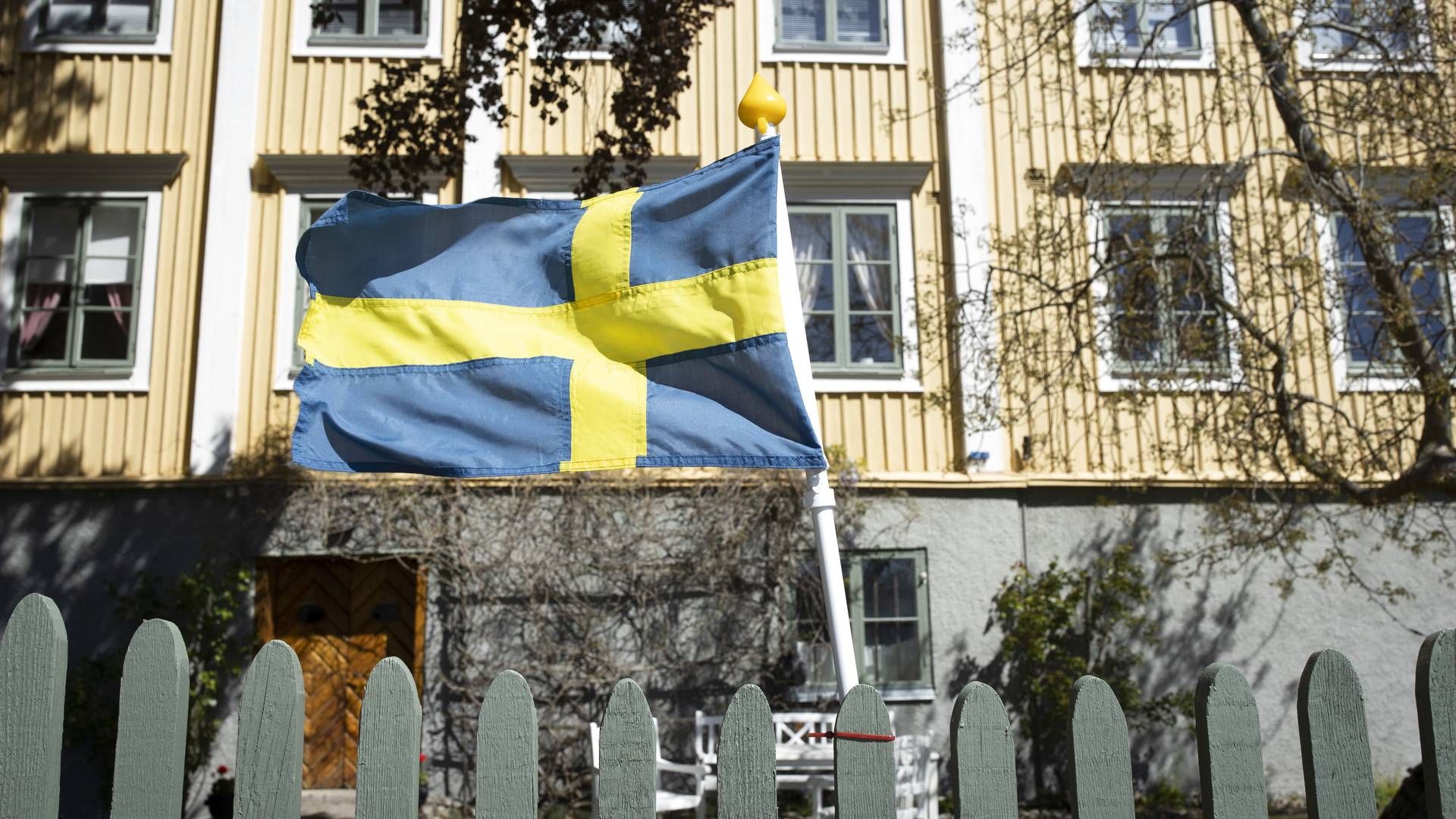 Swedish flag | Photo: Miriam Dalsgaard/Ritzau Scanpix/Ritzau Scanpix