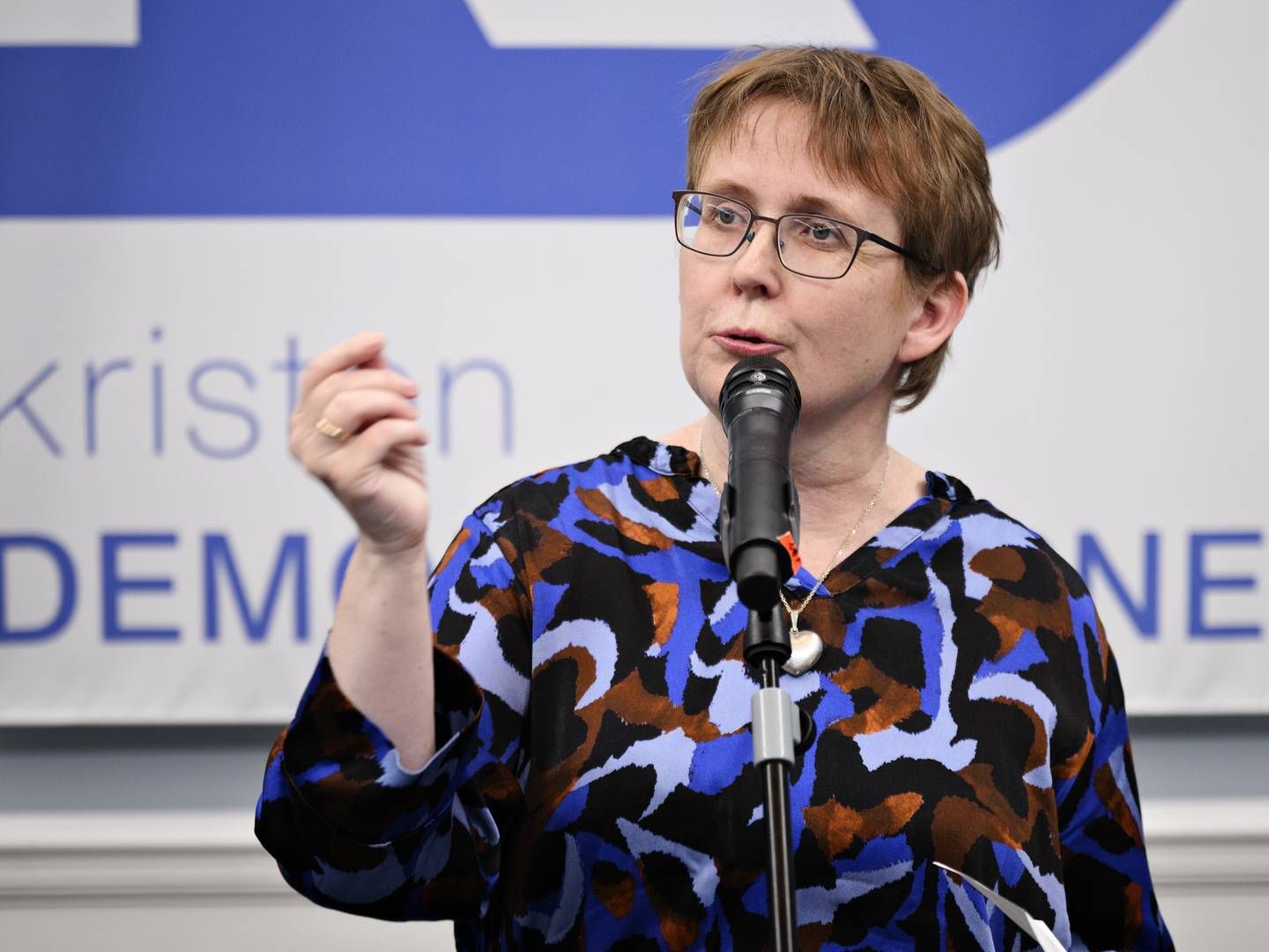 Marianne Karlsmose mener ikke, at kræfterne i partiet bruges bedst på at kæmpe om at komme tilbage i Folketinget. | Photo: Philip Davali