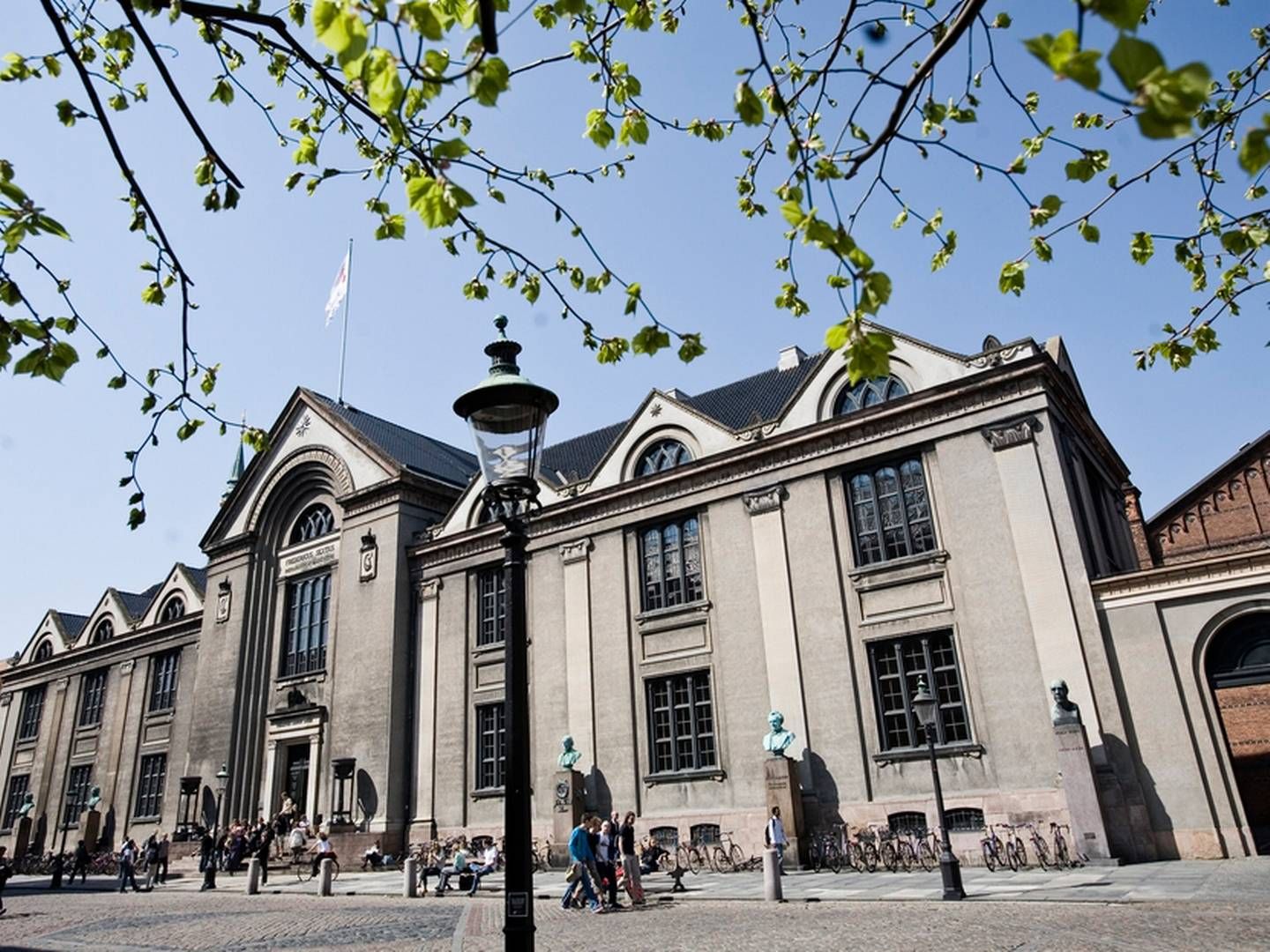Københavns Universitet har fostret et nyt biotekselskab, der kan blive en konkurrent til Novo Nordisk. | Foto: Københavns Universitet/PR