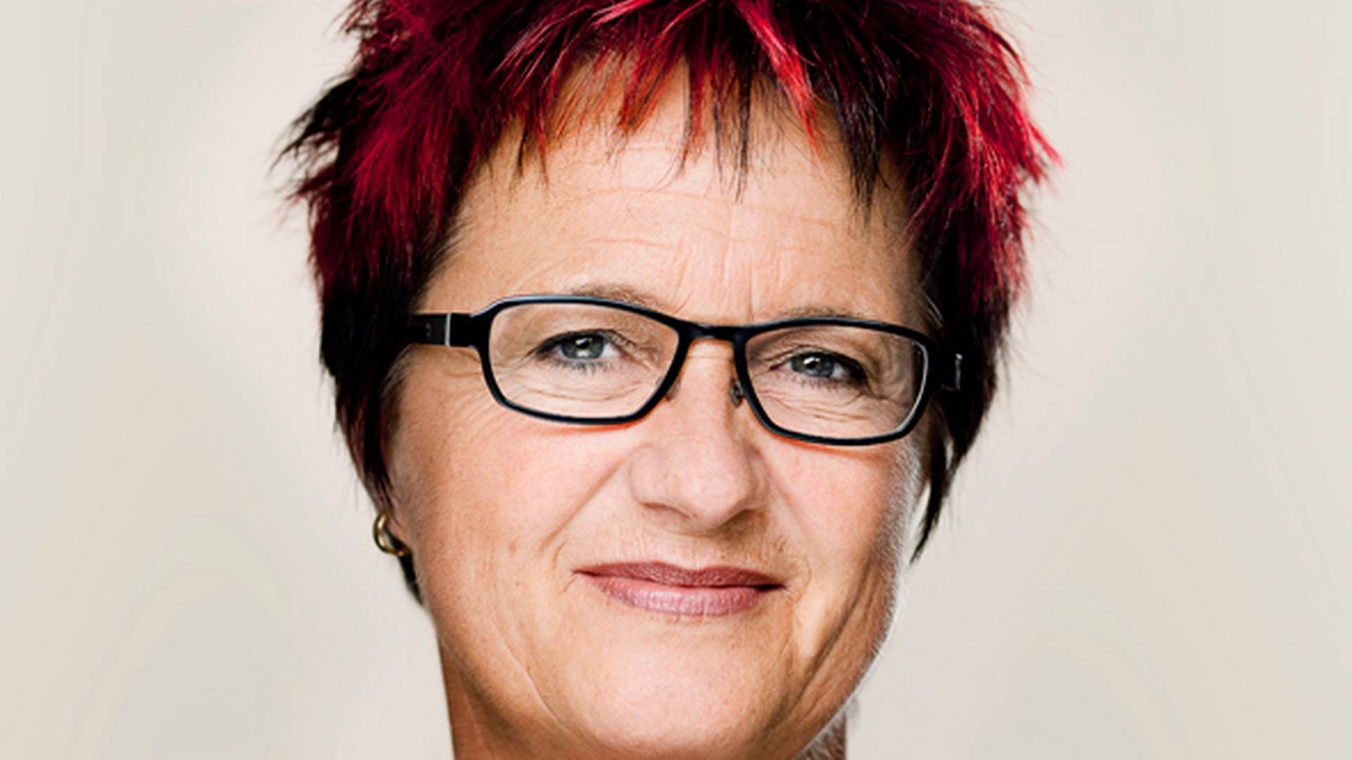 Karin Gaardsted (S), teleordfører