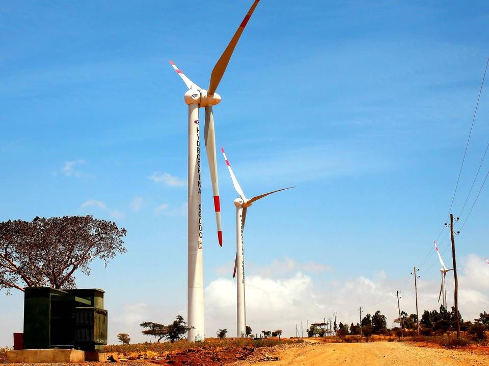 Den nye Klimainvesteringsfond skal bl.a. støtte vindprojekter. Her ses Goldwind-møller opstillet i Afrika. | Foto: Goldwind