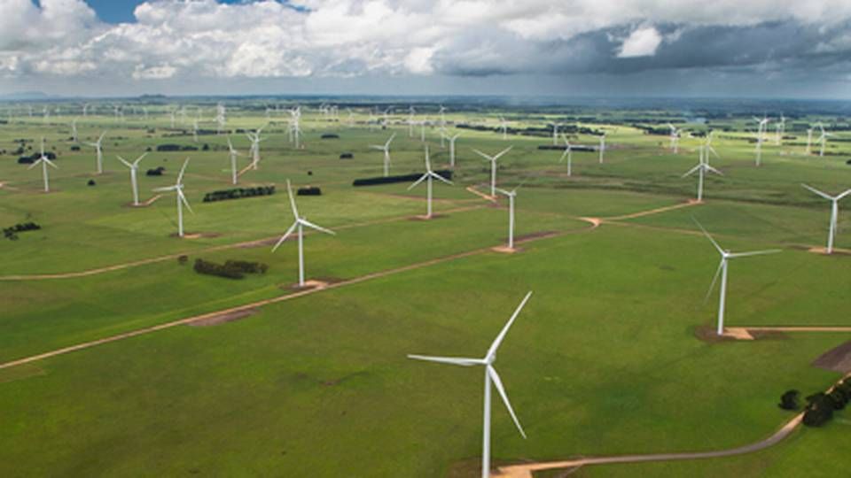 Vestas-møller i Macarthur Wind Farm, der ligger i South Australias nabostat Victoria. | Foto: Vestas
