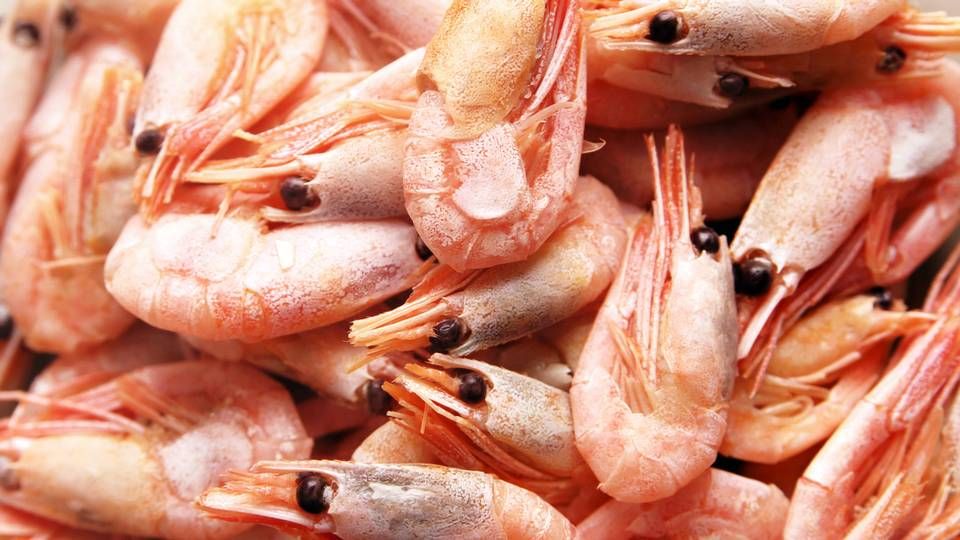 Sirena Group tjener millioner på handel med fisk og skaldyr. Virksomheden har netop offentliggjort et regnskab med rekordomsætning og den næstbedste indtjening nogensinde. | Foto: Colourbox