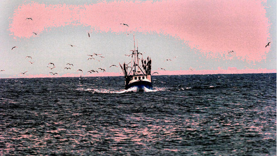Den tyske delstat Kiel får stort milliontilskud til fiskeri fra EU. | Foto: Mik Ekestad