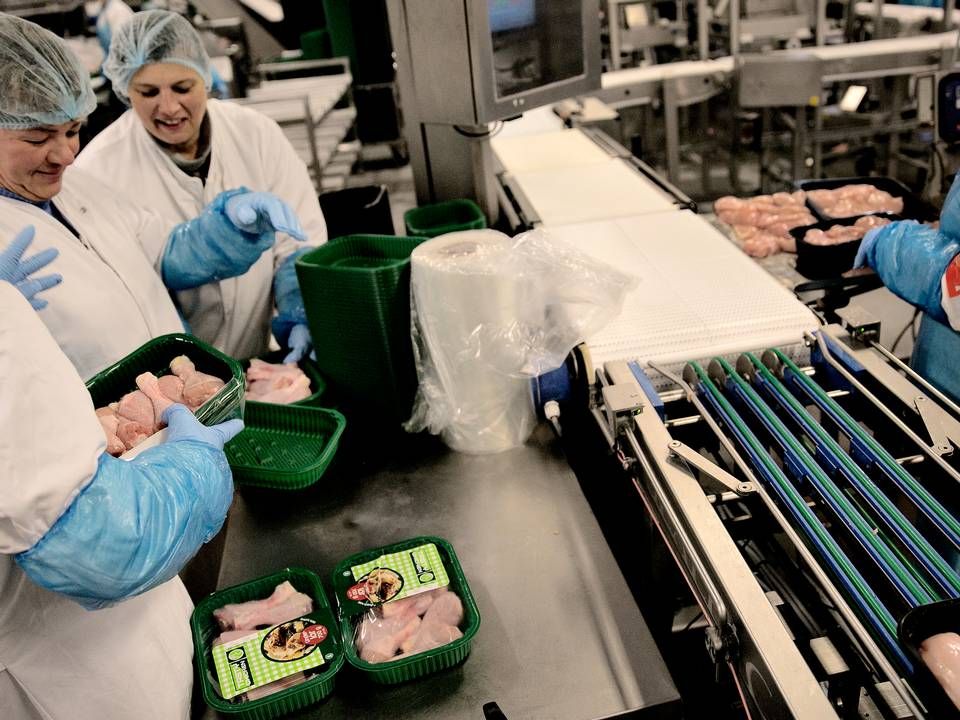 Kyllingeproducenten Danpo, der har produktion i jyske Aars og Farre får fra august ny direktør. | Foto: Joachim Adrian