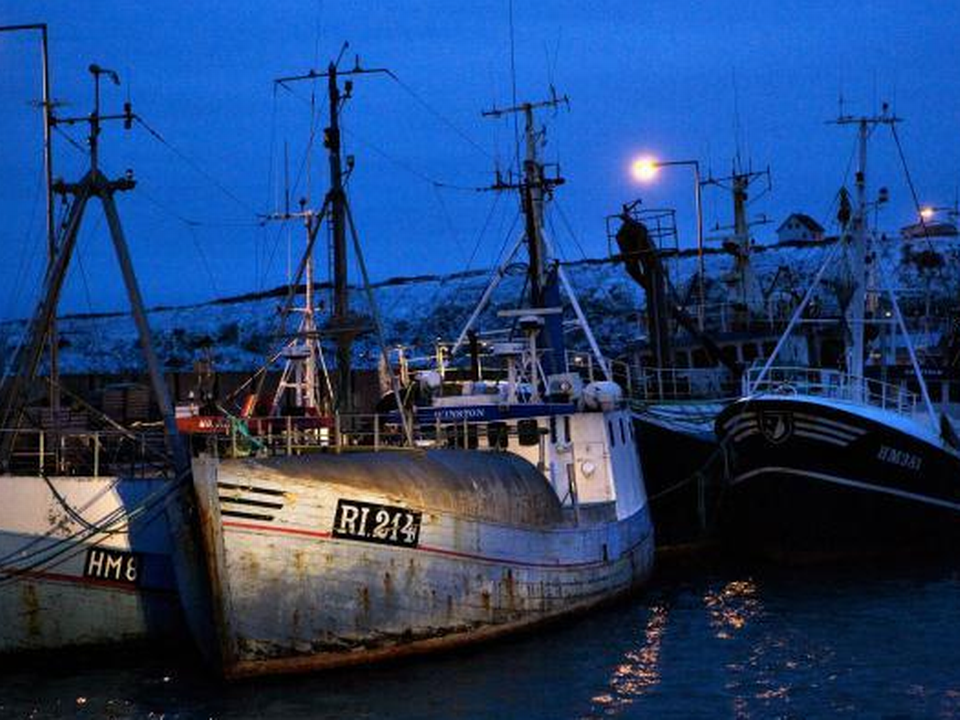 Næste år kan fiskerne i Skagerrak lande mange flere jomfruhummere, men forslaget fra EU-Kommissionen er næsten for meget, mener Danmarks Fiskeriforening. | Foto: Jan Dagø / Ritzau Scanpix