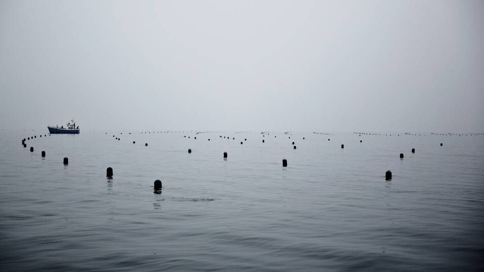 Det er Snap Tun Fisk - Export, som ejer det havbrug, der mandag blev påsejlet af et fragtskib i Lillebælt - cirka seks kilometer vest for Assens Havn. Arkivfoto. | Foto: Joachim Adrian