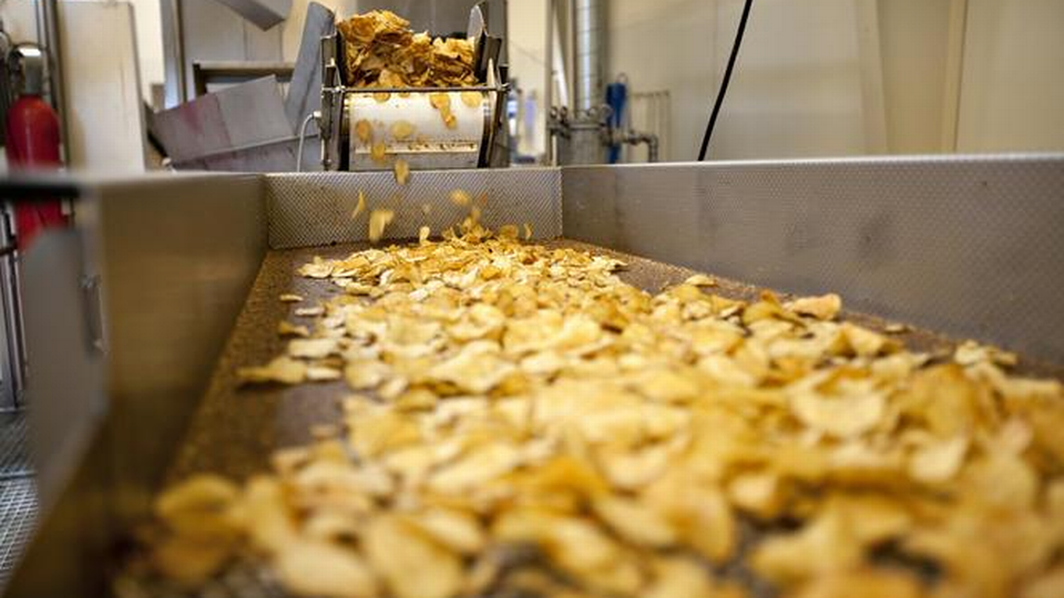 Det er bl.a. i produktionen af kartoffelchips, man skal være opmærksom på akrylamid. | Foto: Søren Schnoor