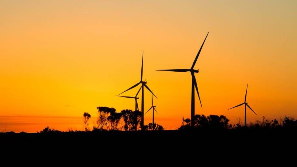 Siemens-møller i Jeffreys Bay-parken i Sydafrika. | Foto: Mainstream Renewable Power