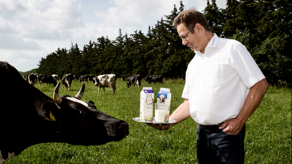 Leif Friis Jørgensen, adm. direktør i Naturmælk. | Foto: Naturmælk