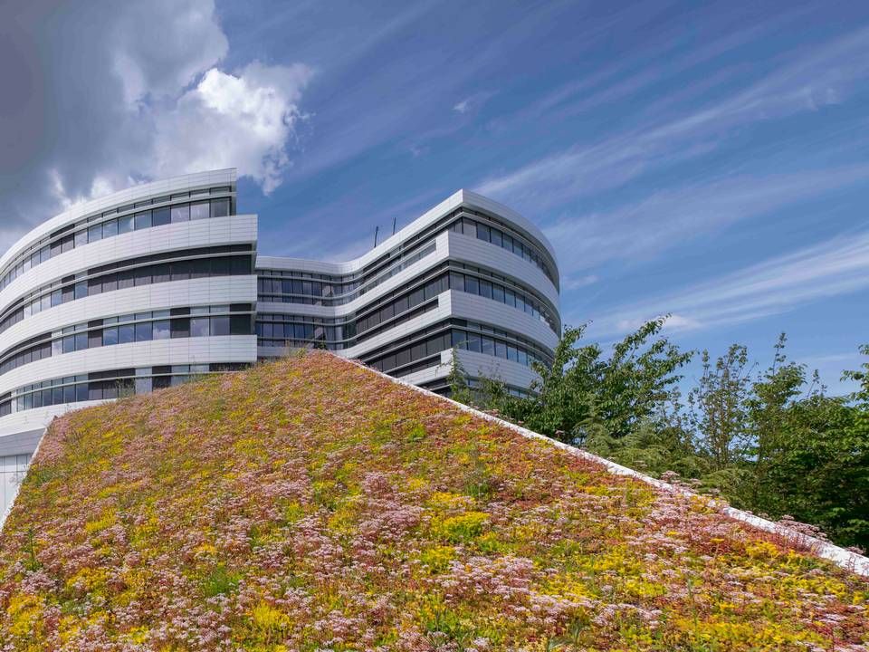 Novo Nordisk's corporate headquarters in Bagsværd, Denmark. | Foto: Jens Lindhe