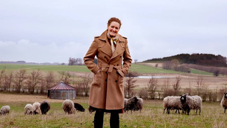 På sit højeste havde MadMarked seks butikker over hele landet. Planen var dog at åbne op til 50 butikker over fem år, fortalte stifter Birgitte Escherich. | Foto: Finn Frandsen/Polfoto/Arkiv