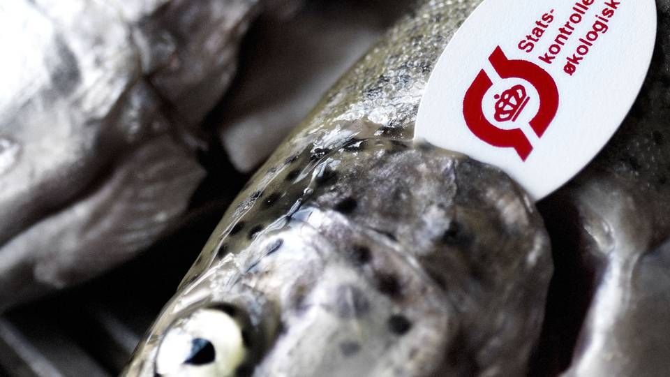 PR/Dansk Akvakultur