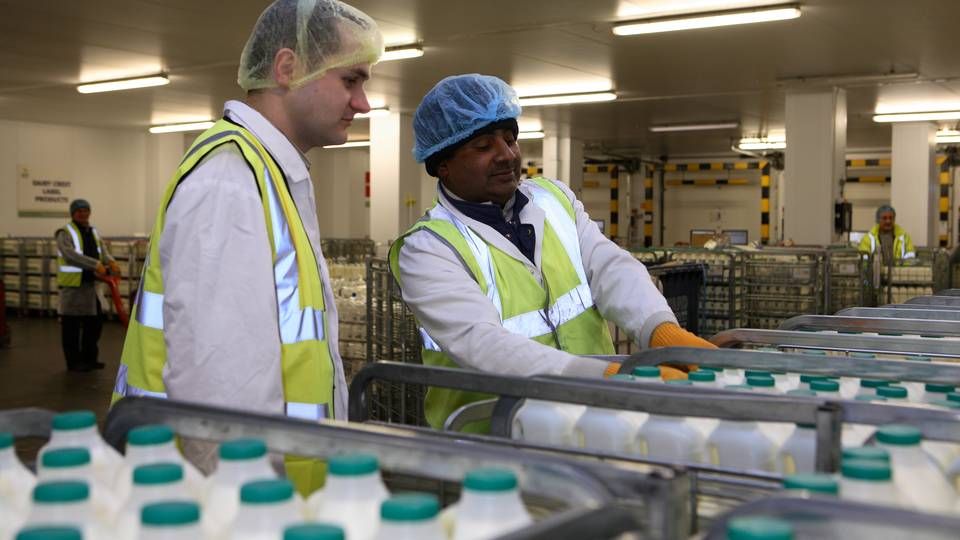 Mælk på lager hos britiske Dairy Crest. | Foto: Dairy Crest/ PR