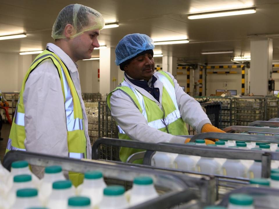 Mælk på lager hos britiske Dairy Crest. | Foto: Dairy Crest/ PR