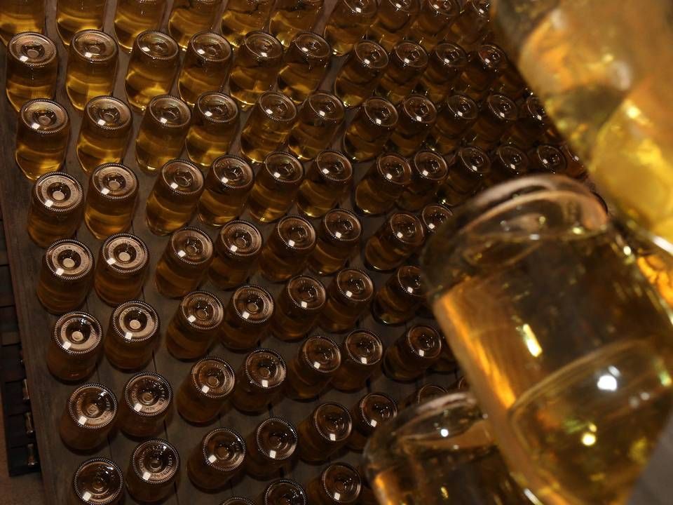 Vin på køl i kælderen hos den østrigske producent Schlumberger. | Foto: AP Photo/Ronald Zak