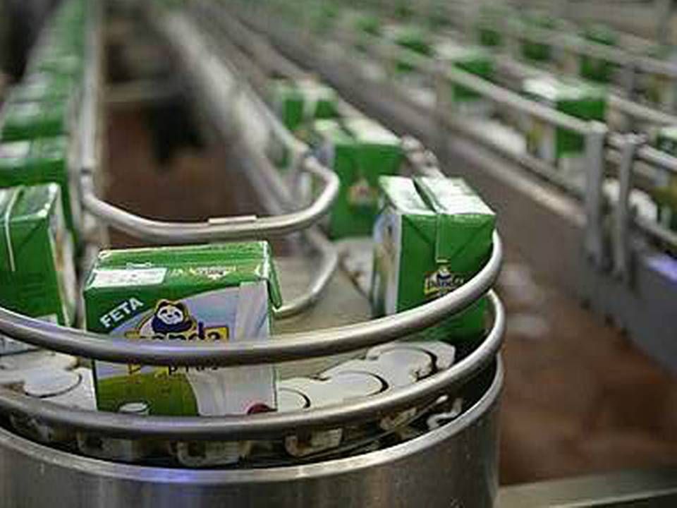 Produktion af Feta-ost i selskabet Arab Dairy | Foto: PR
