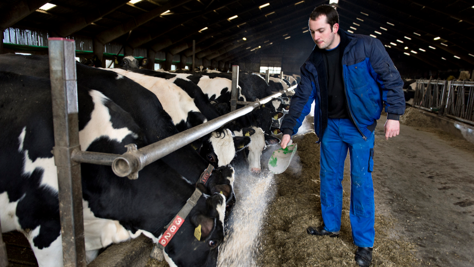 Landmand Jesper Toftager var den første i stalden hos AP Pension. Han har givet pensionsselskabet mod på mere. Foto: Lars Krabbe. | Foto: Lars Krabbe