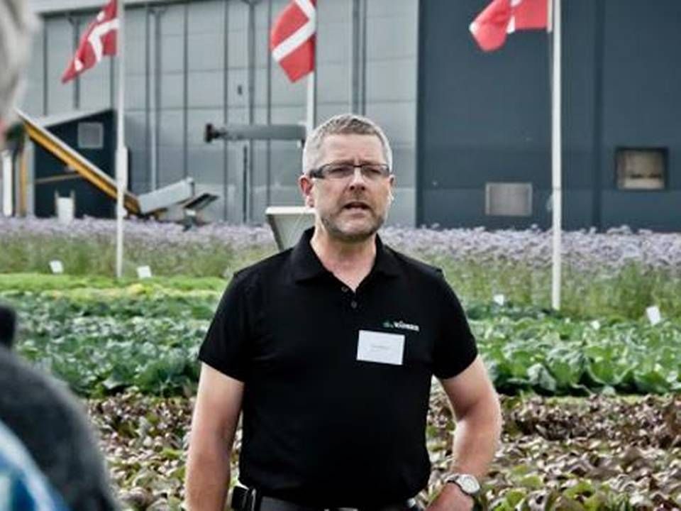 63-årige Axel Månsson, der står i spidsen for Axel Månsson-koncernen, begyndte at opkøbe jord som 20-årig og har solgt salat i over 40 år. | Foto: Morten Telling/Månsson