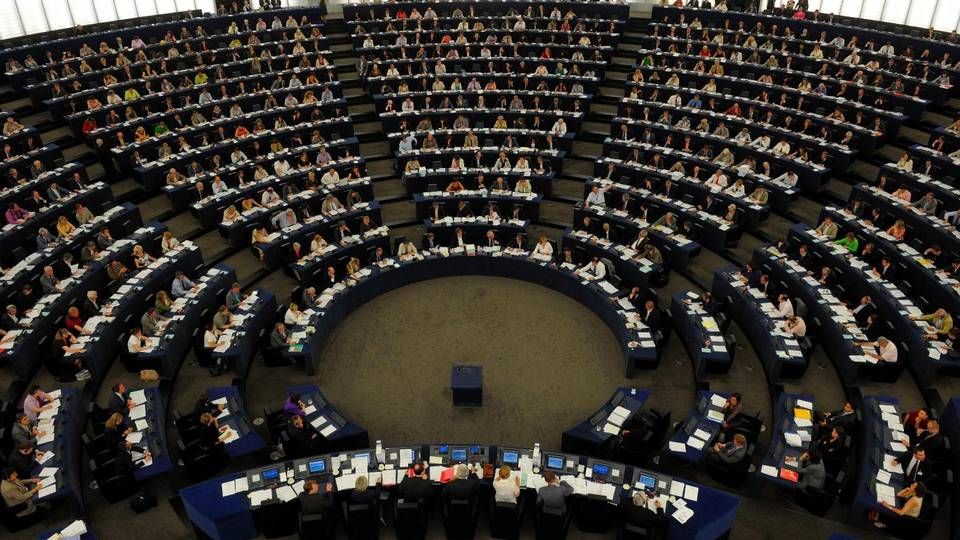 Europa-Parlamentet | Foto: /Ritzau Scanpix/AP/Cedric Joubert/