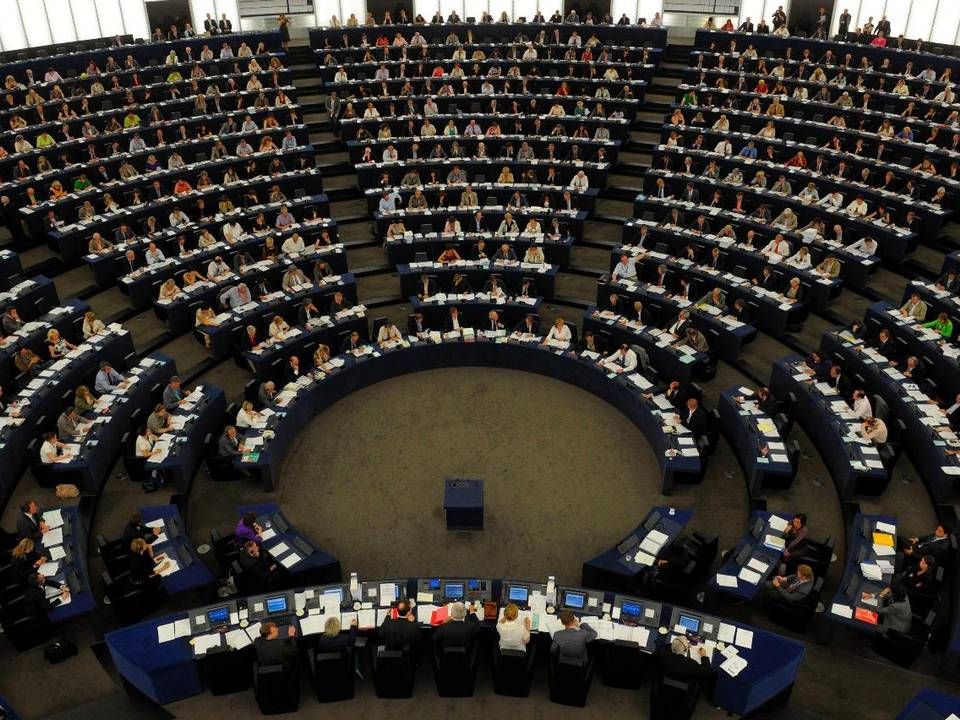 Europa-Parlamentet | Foto: /Ritzau Scanpix/AP/Cedric Joubert/