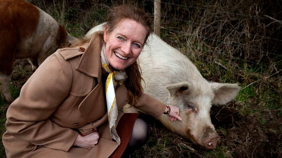 Birgitte Escherich gik konkurs med MadMarked i januar, da det kom frem, at en direktør havde taget af kassen. Nu forsøger hun igen. | Foto: Finn Frandsen/Polfoto/Arkiv