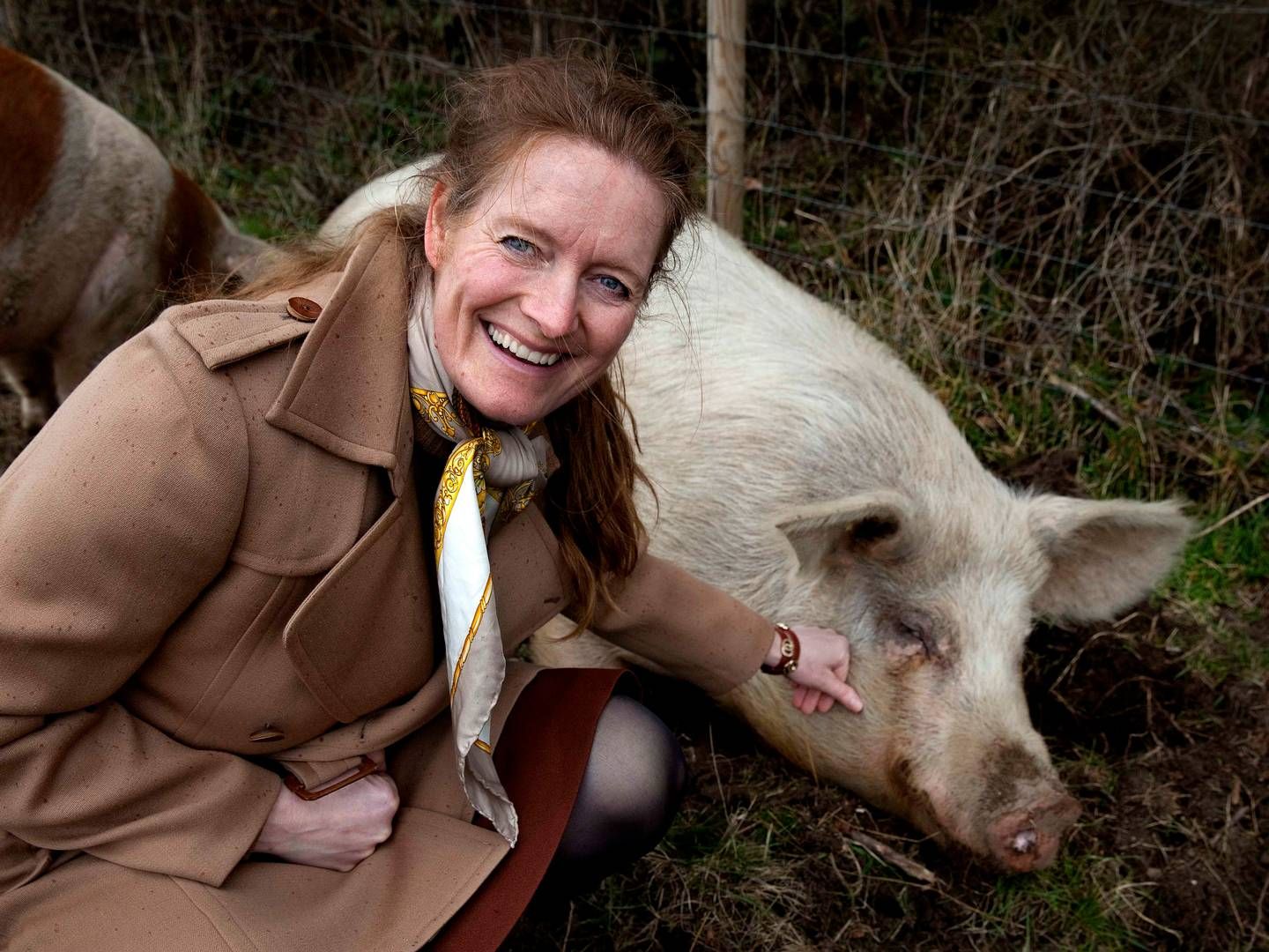 Birgitte Escherich gik konkurs med MadMarked i januar, da det kom frem, at en direktør havde taget af kassen. Nu forsøger hun igen. | Foto: Finn Frandsen/Polfoto/Arkiv