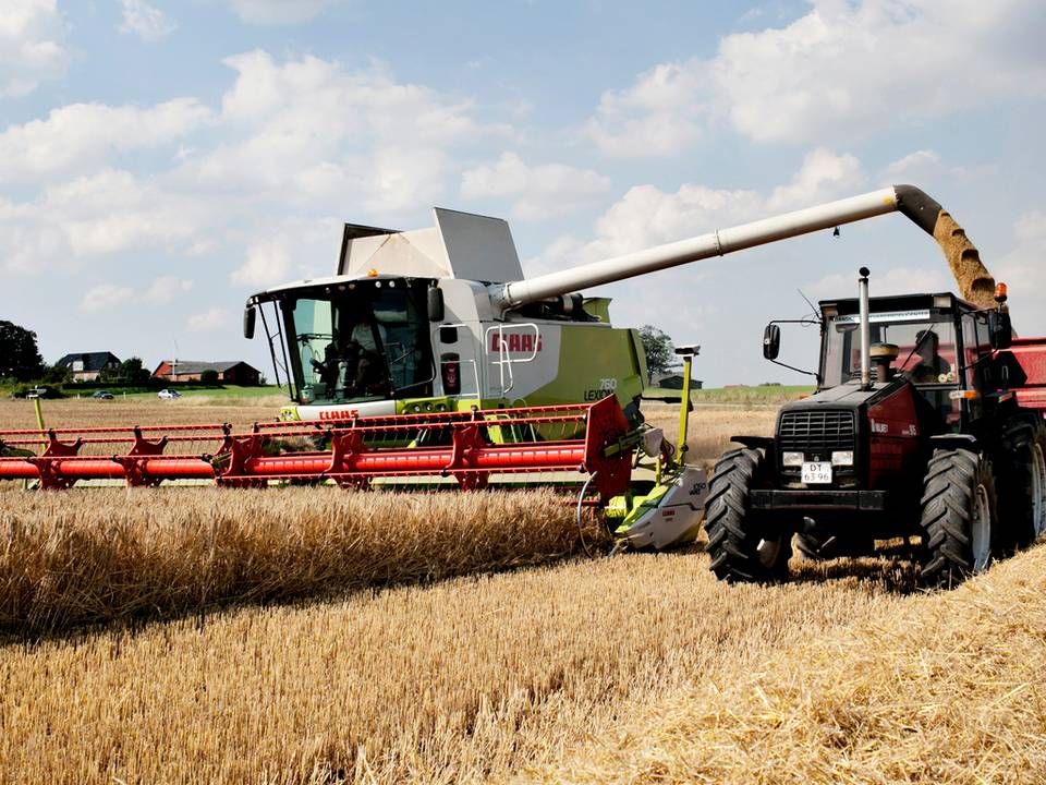 Tyskland vil stoppe dyrkningen af gensplejsede afgrøder. | Foto: Gregers Tycho/Jyllands-Posten