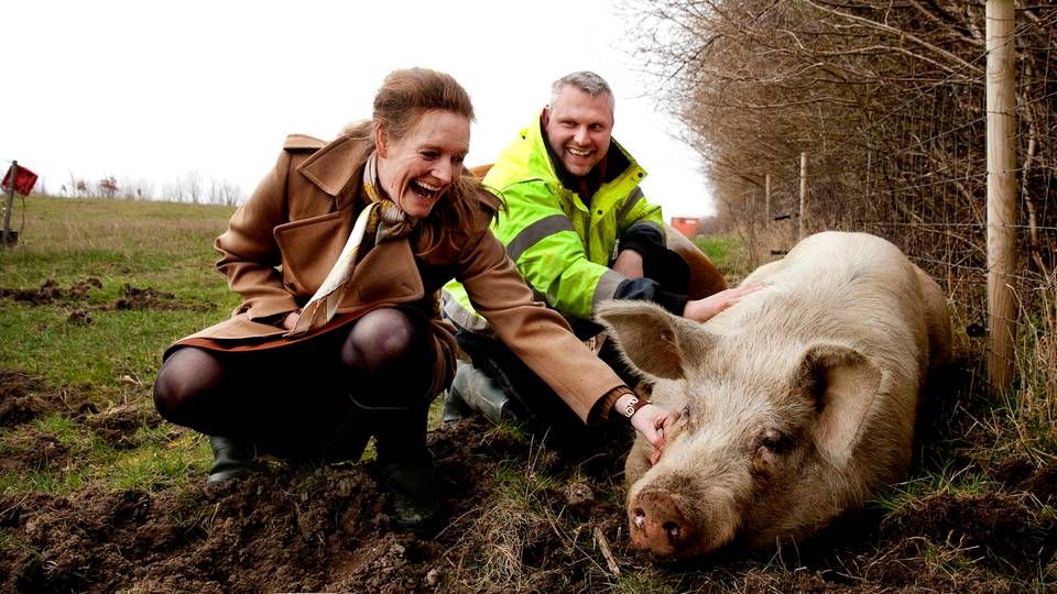 Birgitte Escherich gik konkurs med MadMarked i januar, da det kom frem, at en direktør havde taget af kassen. Nu forsøger hun igen. Her er hun på besøg hos landmand Torben Christiansen. | Foto: Finn Frandsen/Polfoto/Arkiv