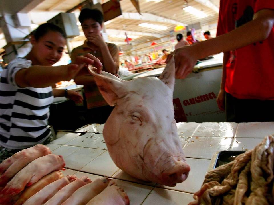 Foto: Elizabeth Dalziel/AP/POLFOTO/arkiv