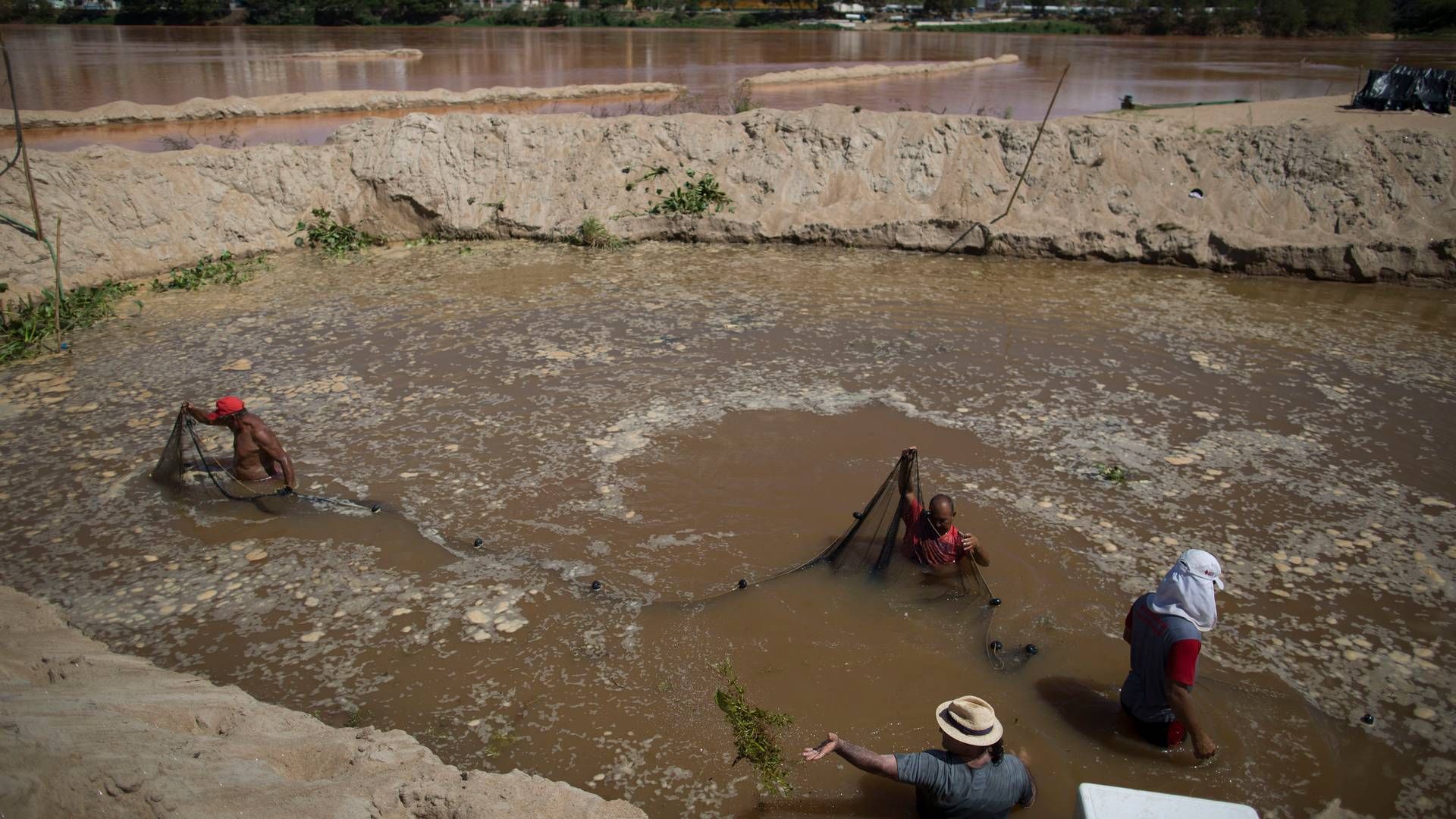 Fiskere forsøger at beskytte dyr fra Rio Doce fra forurening i et midlertidigt bassin, efter at floden er blevet forurenet med vand fra den bristede Samarco-dæmning. | Foto: POLFOTO/AP Photo/Leo Correa