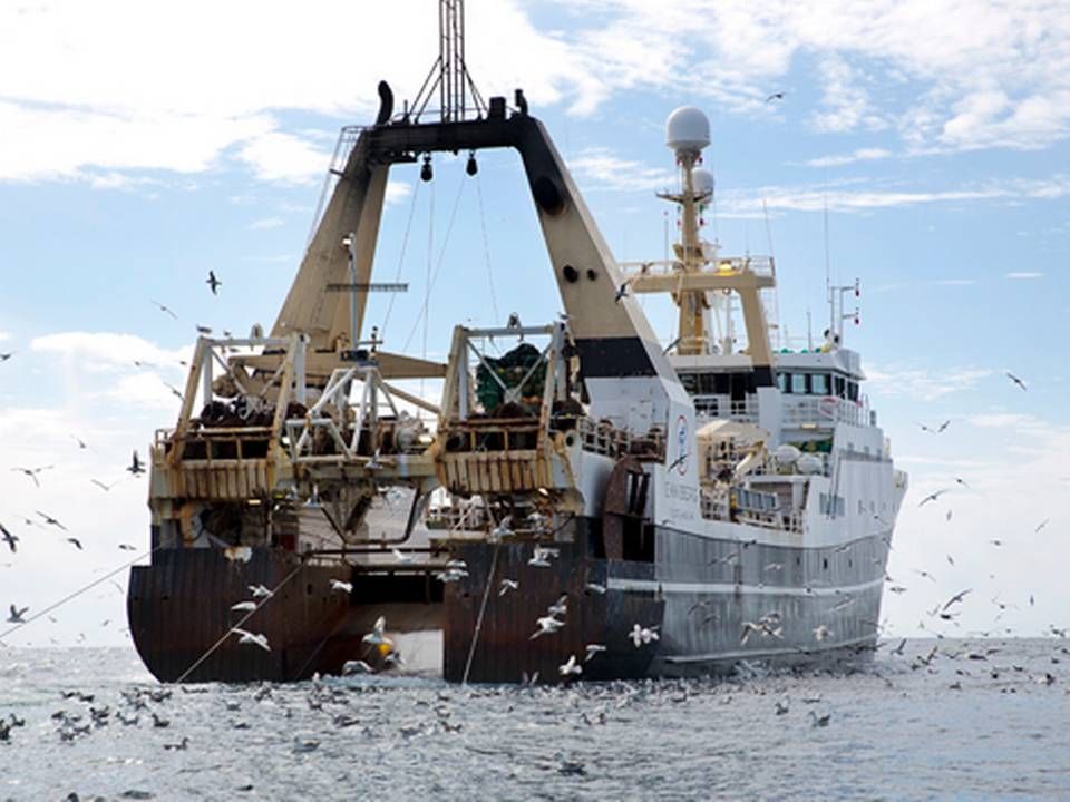Det vil i sær ramme de store fiskefartøjer, hvis Storbritannien klapper adgangen til landets farvande i. | Foto: PER FOLKVER/Ritzau/ARKIV