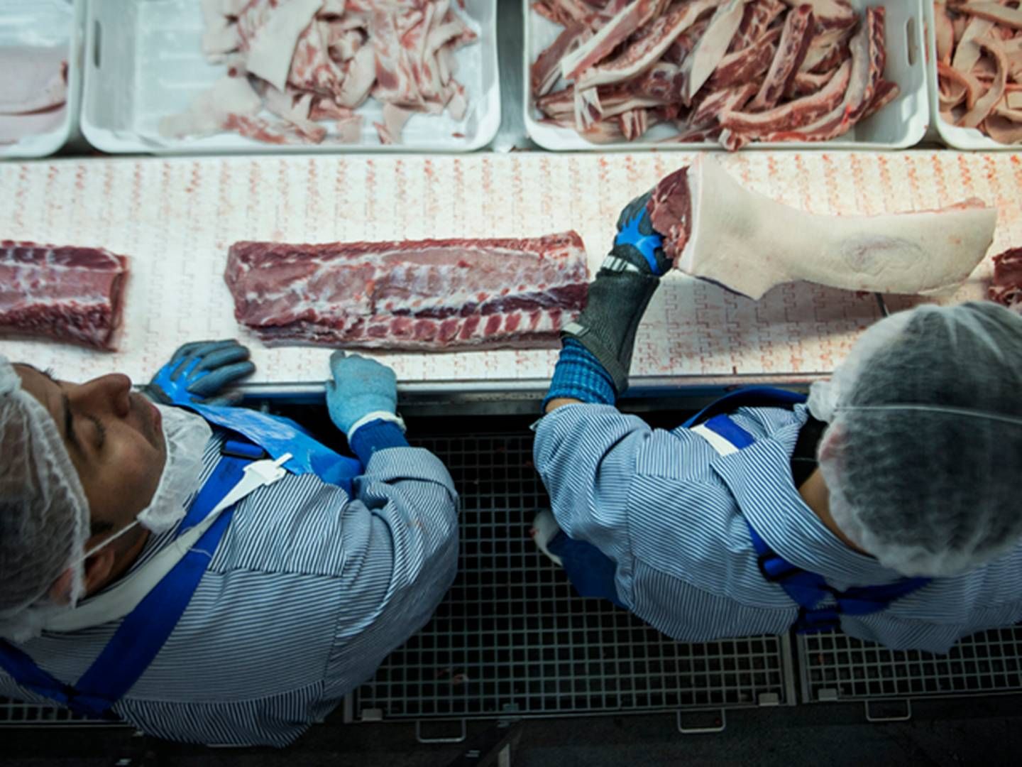 Eksporten til Kina fra danske slagterier er steget markant, til stor jubel i branchen. | Foto: Cicilie S. Andersen/Ritzau/Arkiv